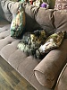 ���� � ���� � ������� ���������